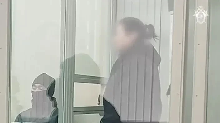 За хищение денег АО «Решетнёв» пиарщицу Светлану Башкову отправят в колонию

Железногорский городско