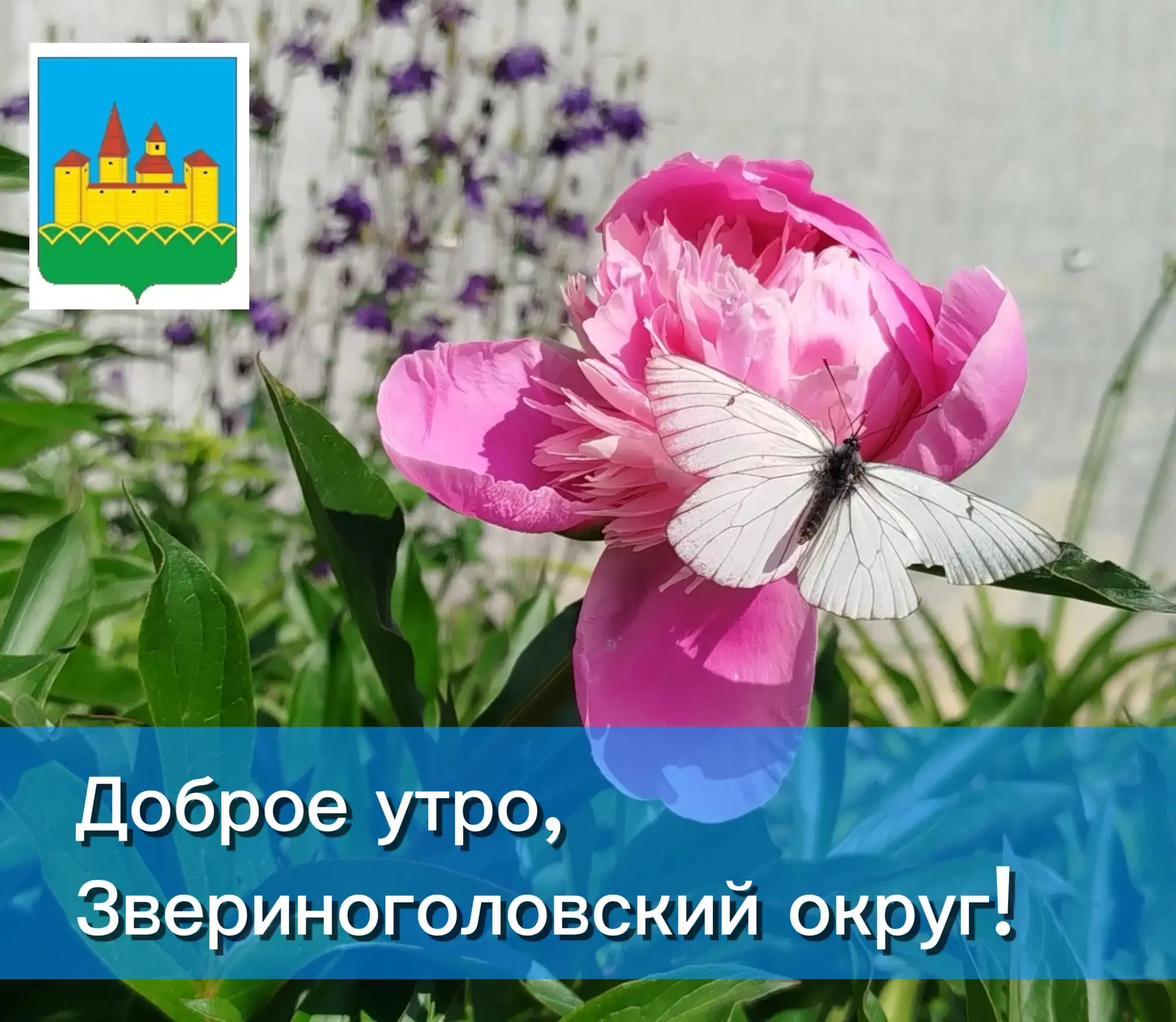 ✴️ ✨ Доброе утро! Пусть оно будет таким же прекрасным, мягким и вдохновляющим, как этот...