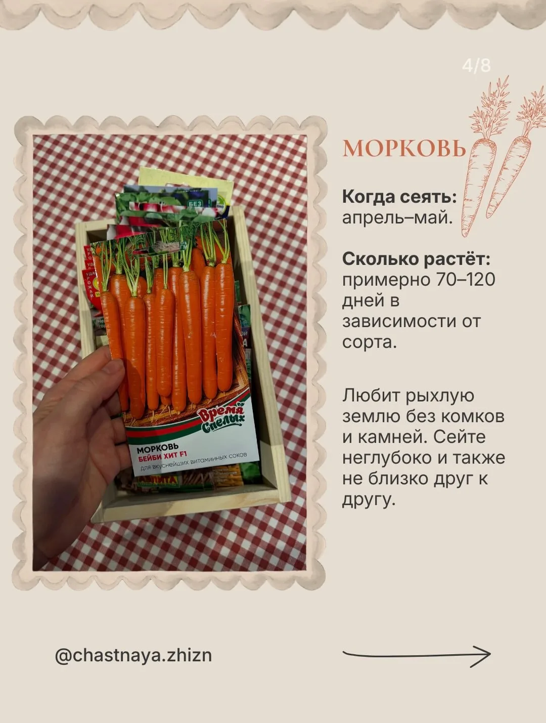 В первый год садоводства особенно хочется увидеть результат🌱   Я абсолютный любитель, но даже у меня