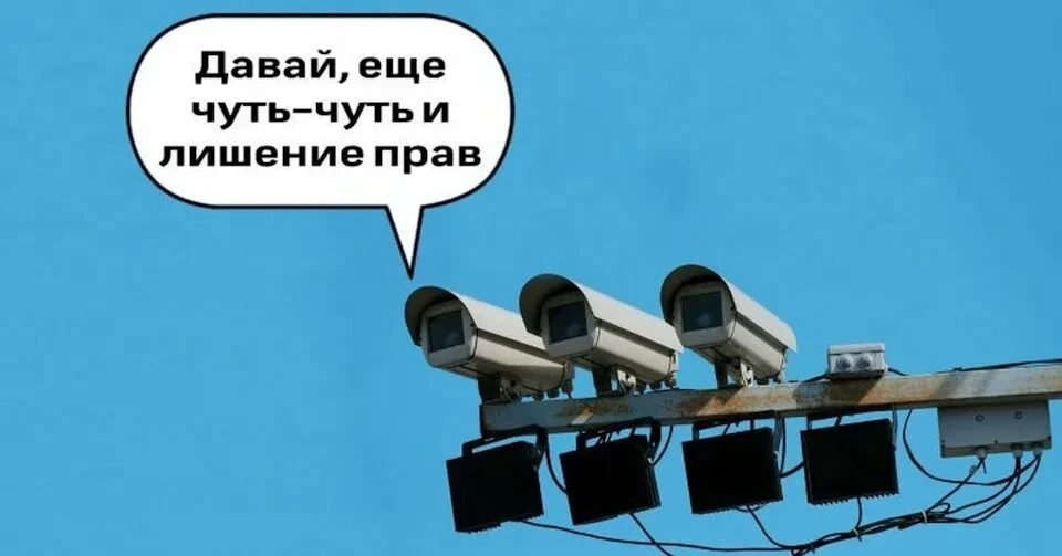 📸 В Томской области камеры вышли на охоту с удвоенной силой: за пять месяцев 2026 года...