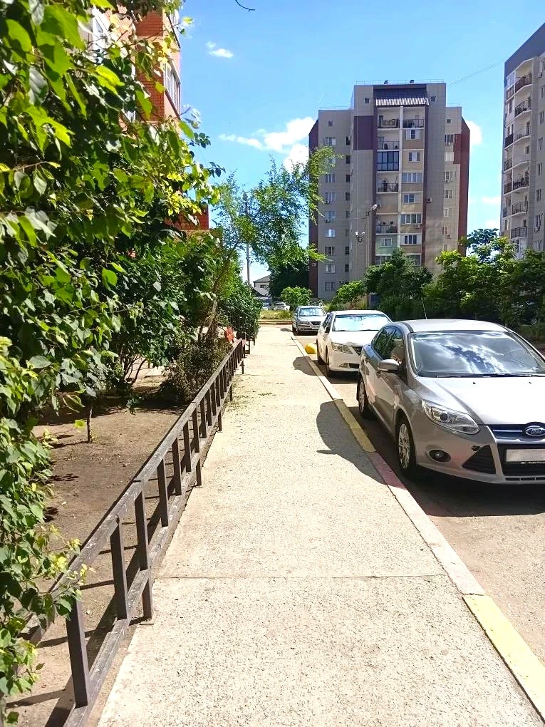 К новости «✂️ Летняя стрижка для вашего двора! 🌳»