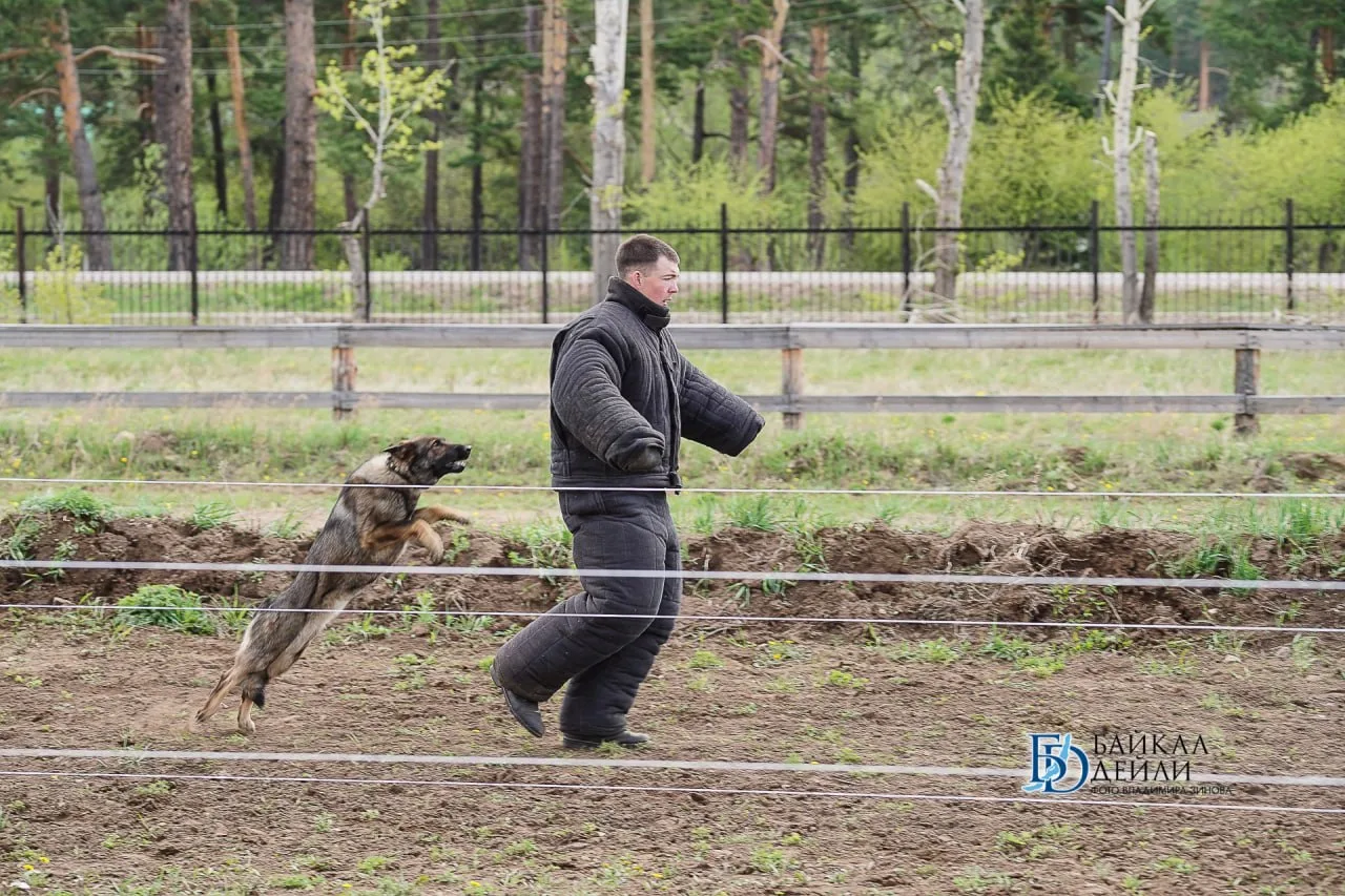 В Бурятии стартовал турнир по конному спорту ко Дню пограничника  На боевом поле конного двора «Гарц