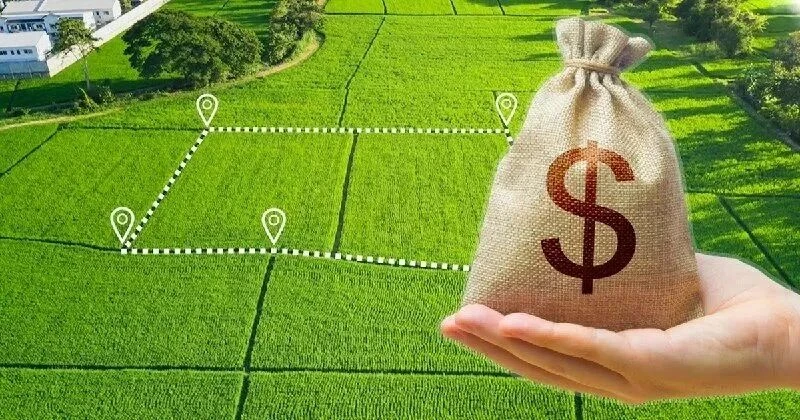 КУПЛЮ себе лично участок в Белокурихе, 30-50 соток, цены в личку, желательно без строений.
