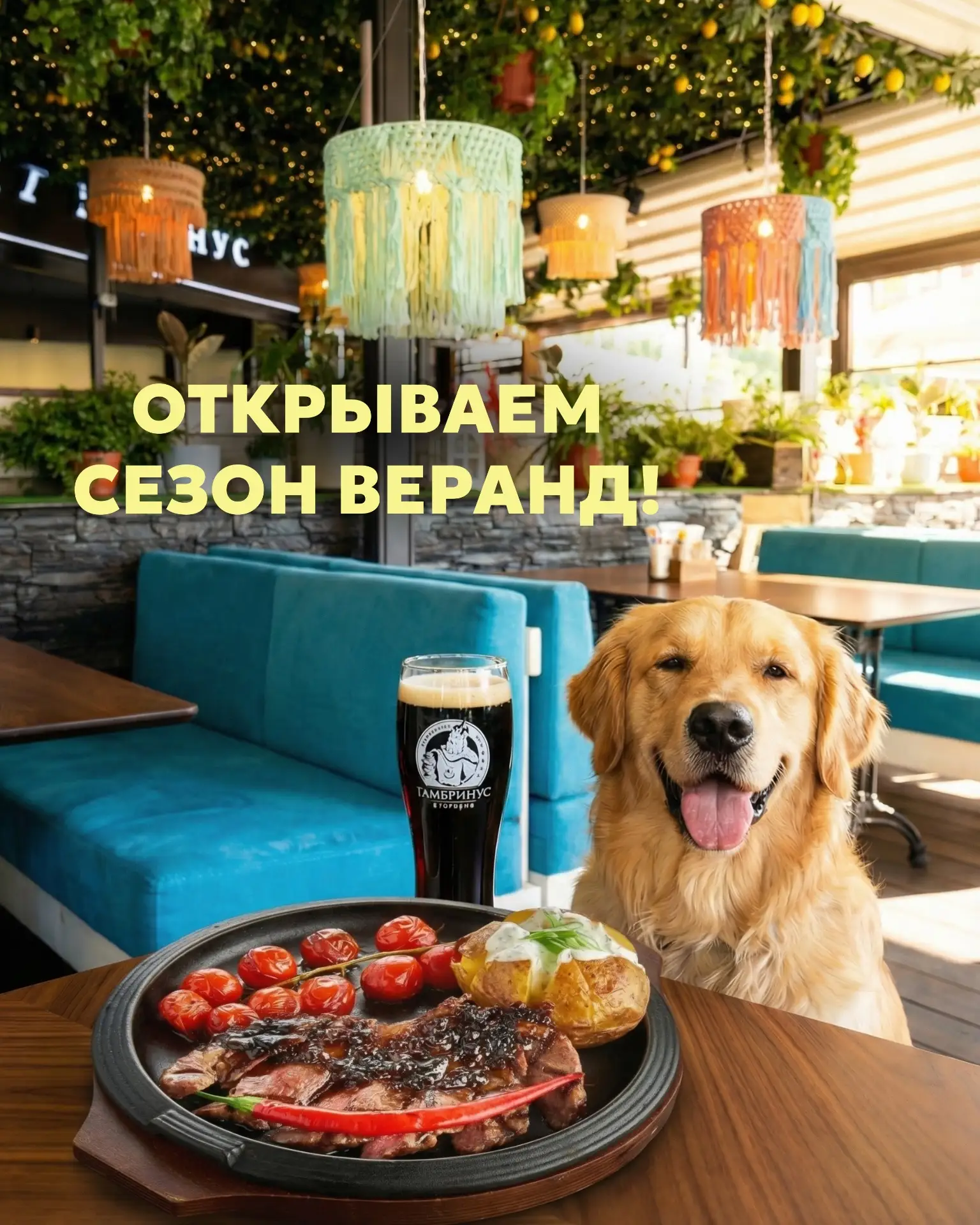 Открываем сезон веранд в солнечной Москве! ☀️🌿  И это, кстати, не шутка на 1 апреля 😏  С сегодняшнег