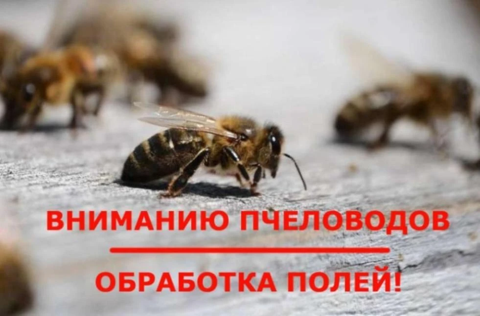 Уважаемые пчеловоды!