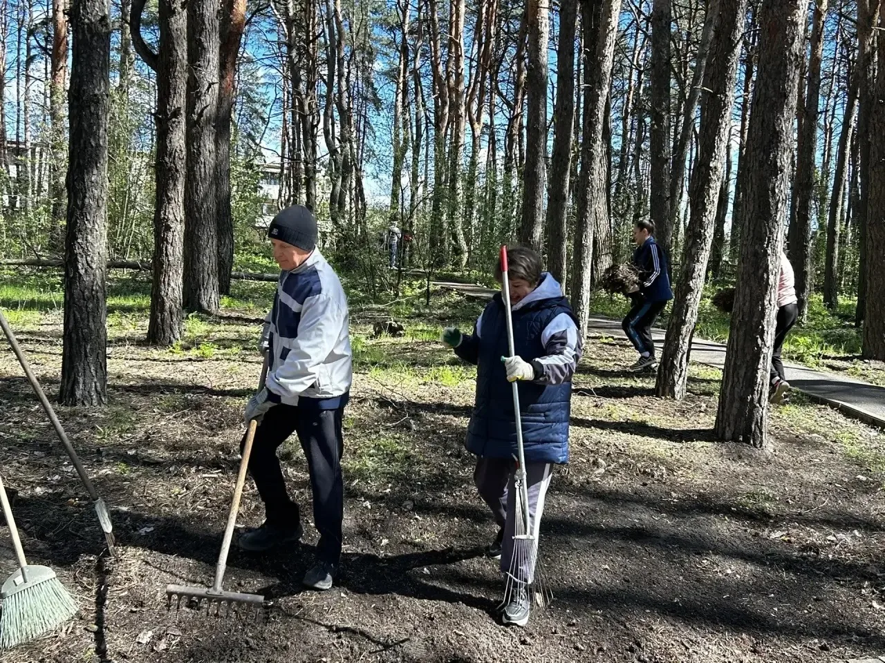 🍃Наша спортивная школа приняла активное участие во Всероссийском субботнике!