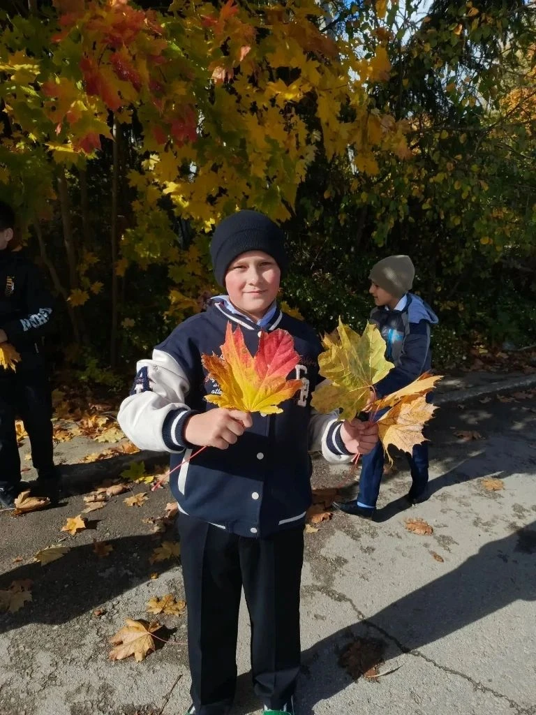 🍁Архангельские школьники научились «читать» природу​