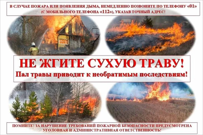 Ежегодно с установлением  сухой и  теплой  погоды  наступает  угроза  возникновения при...