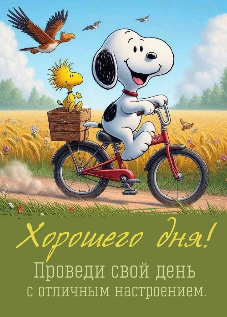 ✨Волшебные открытки! 
👉Подписаться!