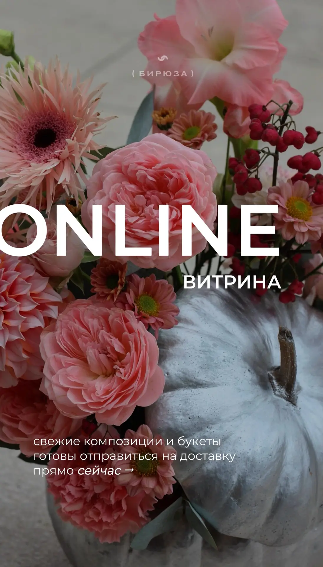 Посмотрим что сегодня на витрине?