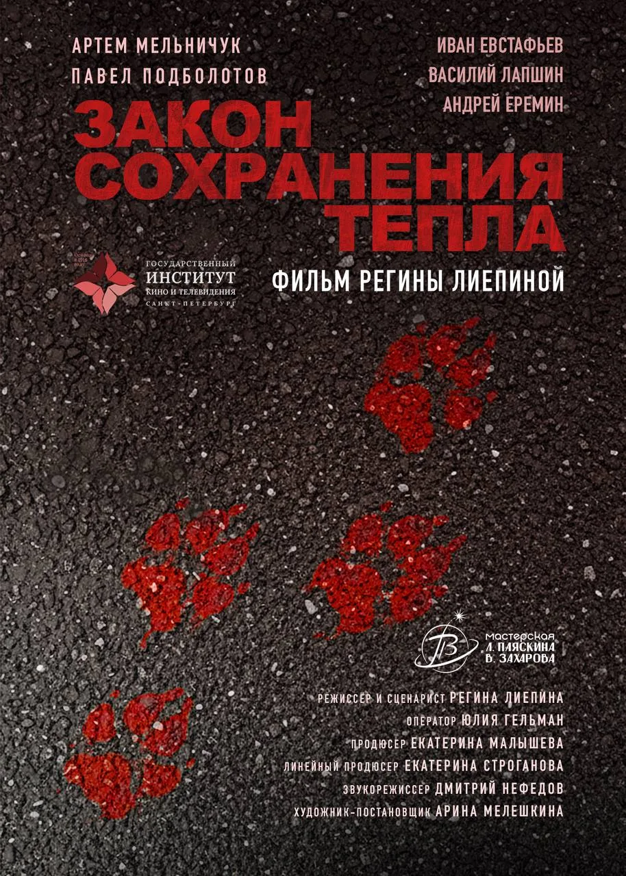 🌊 ПОКАЗ «ПОПАЛИСЬ!» 🌊