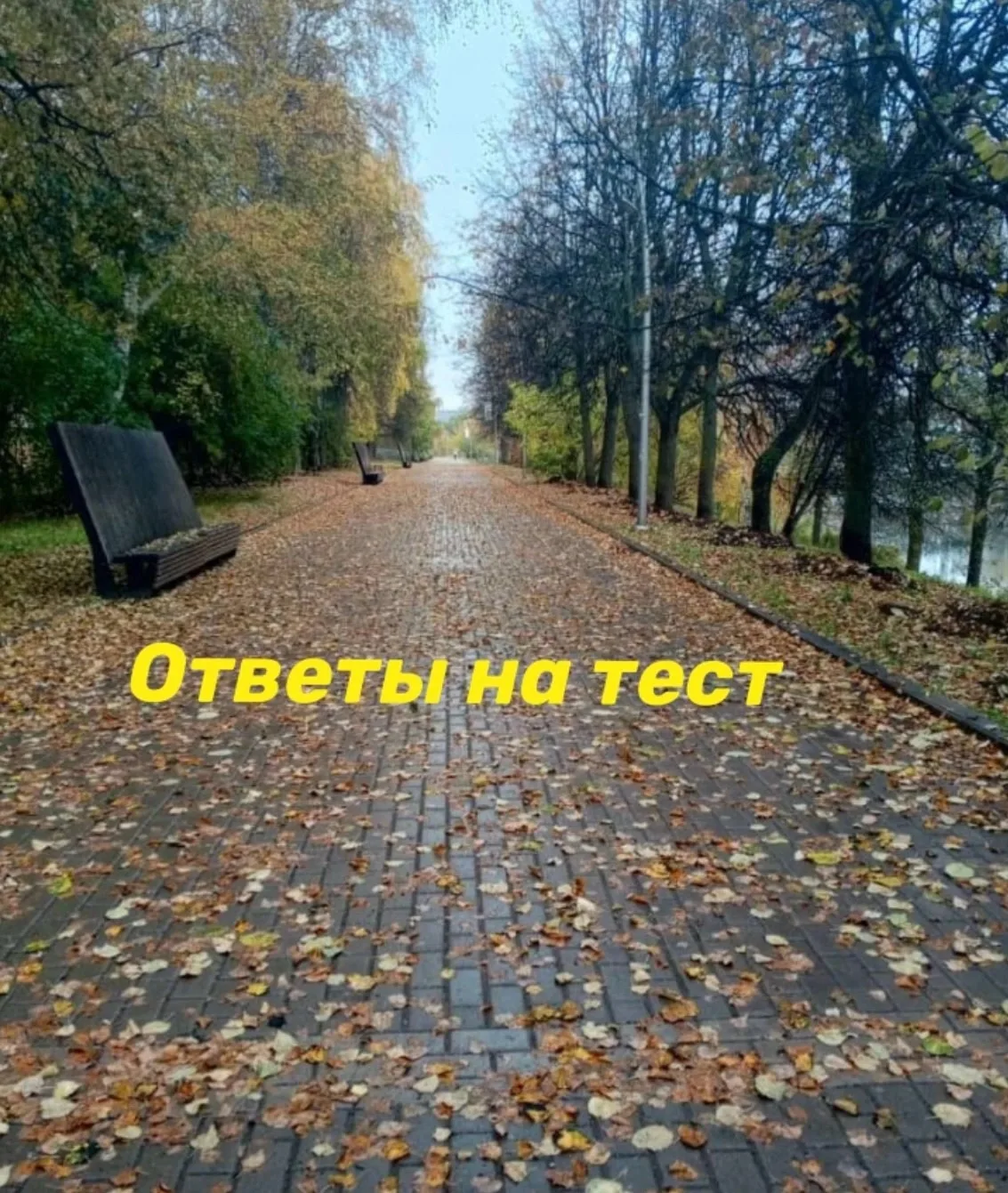 Вот и ответы на тест: что вам в данный момент сильно мешает в жизни.
