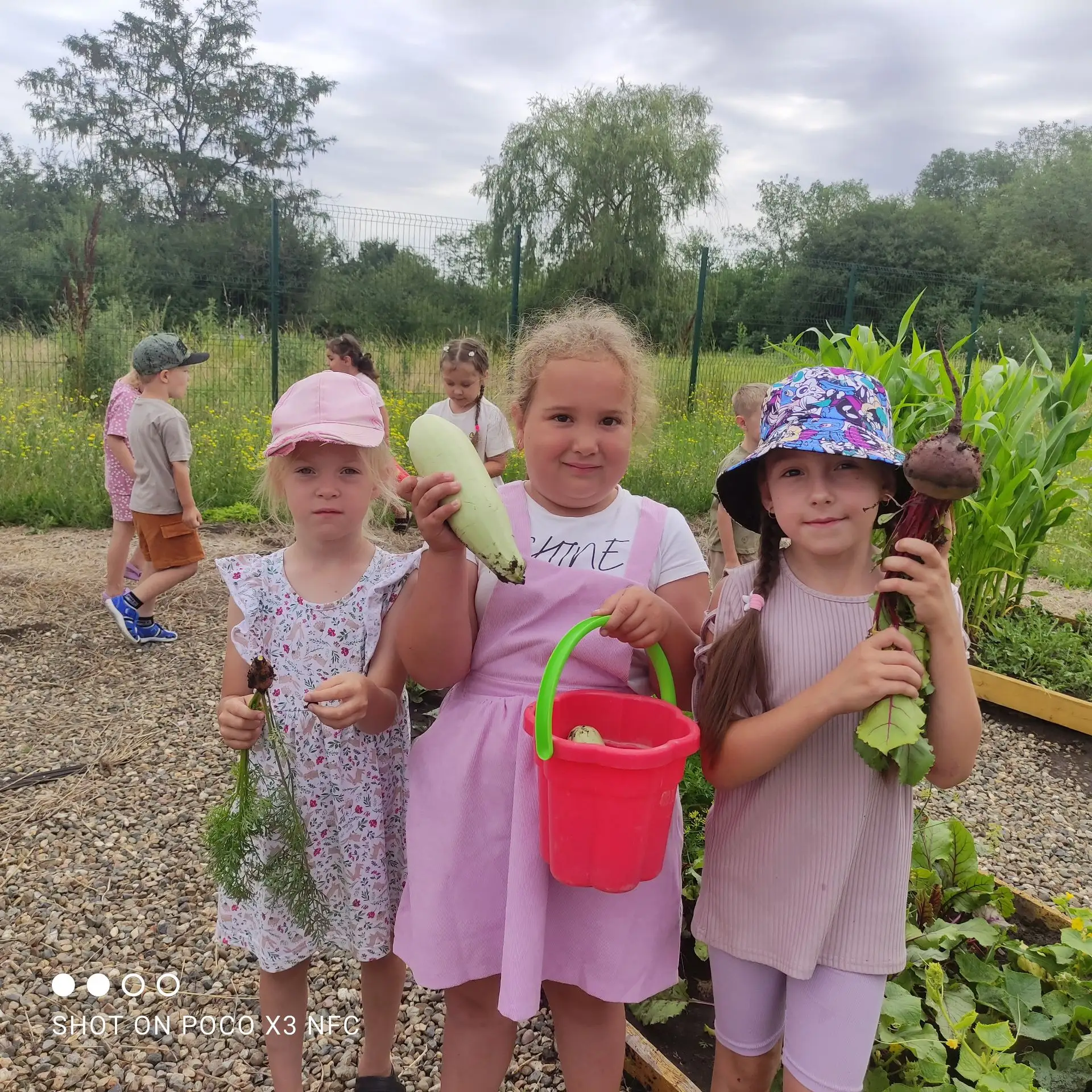 Труд на огороде и сбор урожая в нашем детском саду! 🌾

Лето – прекрасное время для того, чтобы позн