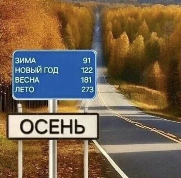 Холодает однако.. 🍂🍄‍🟫