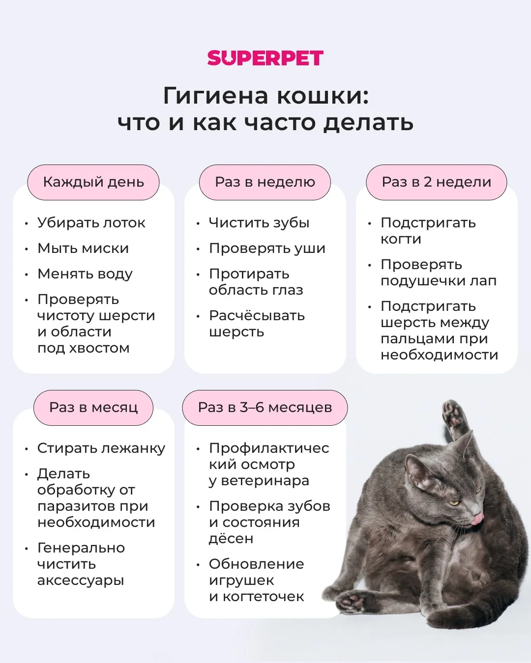 Гигиена кошки
