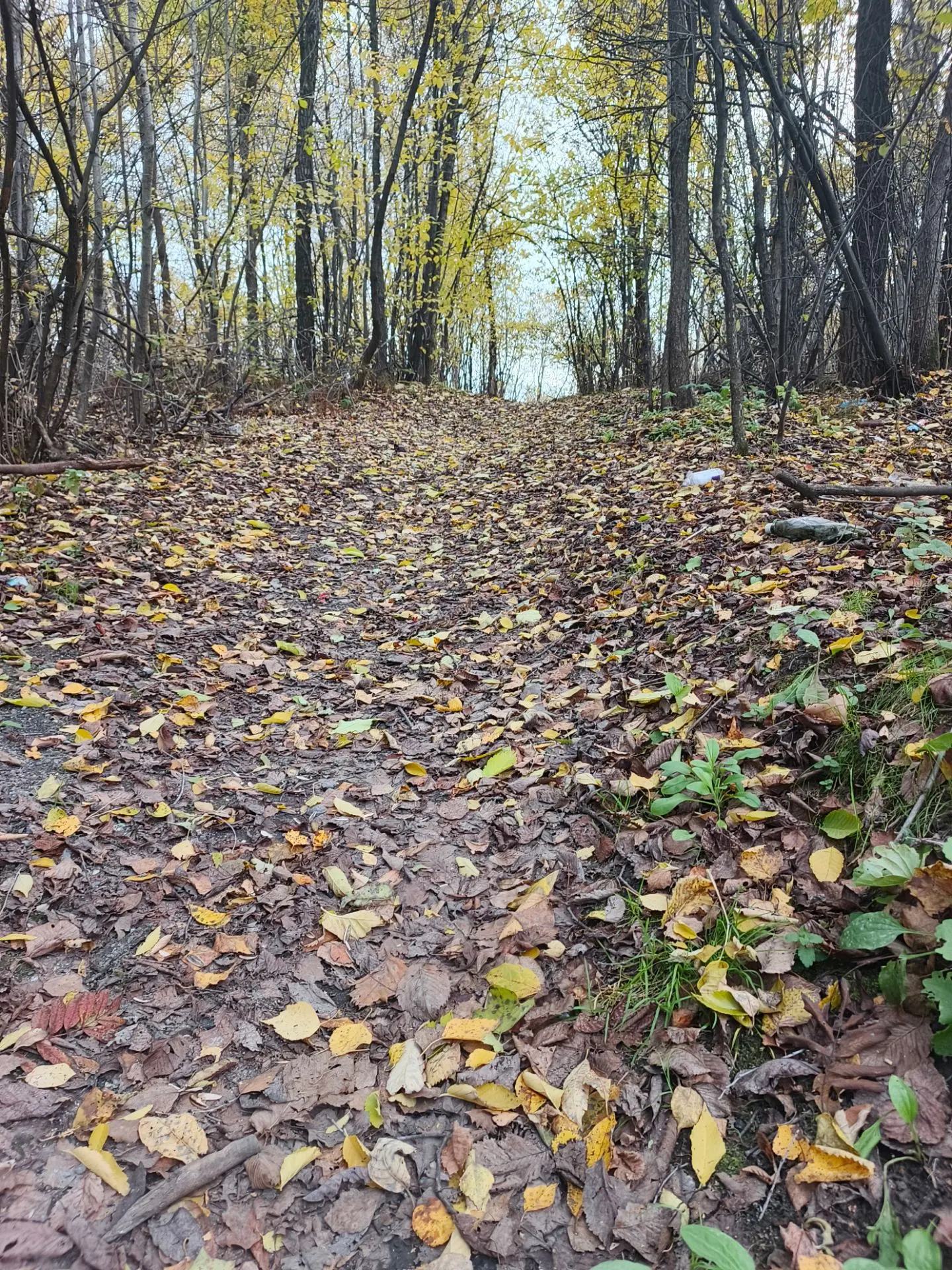 Осенний коридор🍂🍂🍂🍂