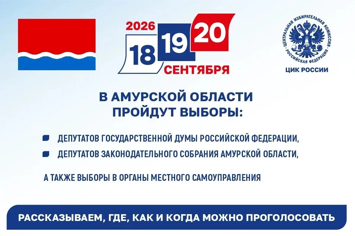📌Голосование на выборах депутатов Госдумы, Заксобрания и органов местного самоуправлен...