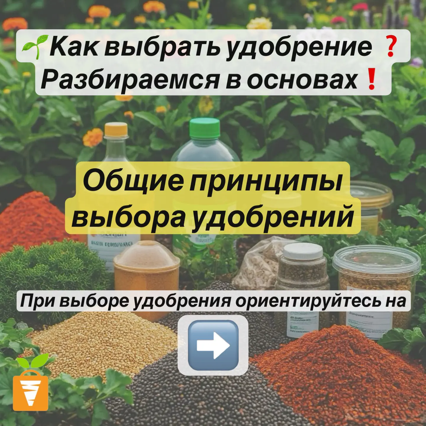 🌿 Здравствуйте, дорогие садоводы Владивостока! 🌿
