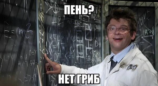 Учёные в шоке — всё-таки это гриб. Древнейший пень из Ленобласти оказался сюрпризом — п...