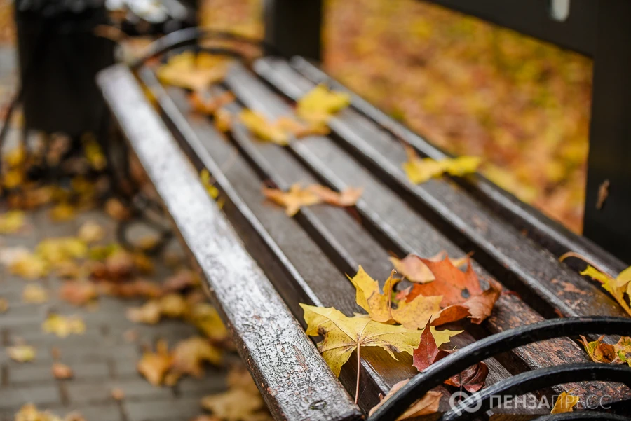 🌤 В Пензе 30 сентября ожидается до +18 градусов и северный ветер