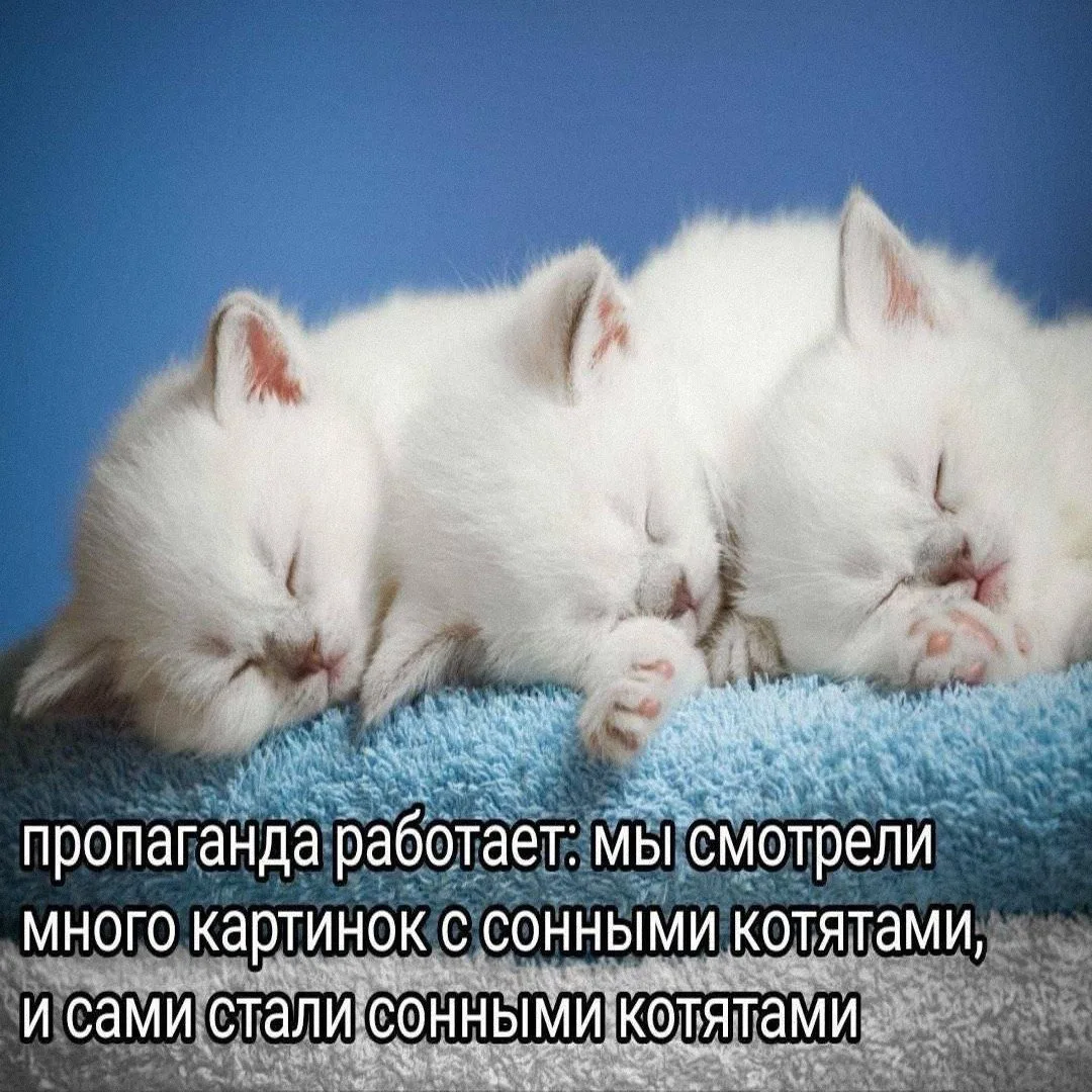 Я и кто??