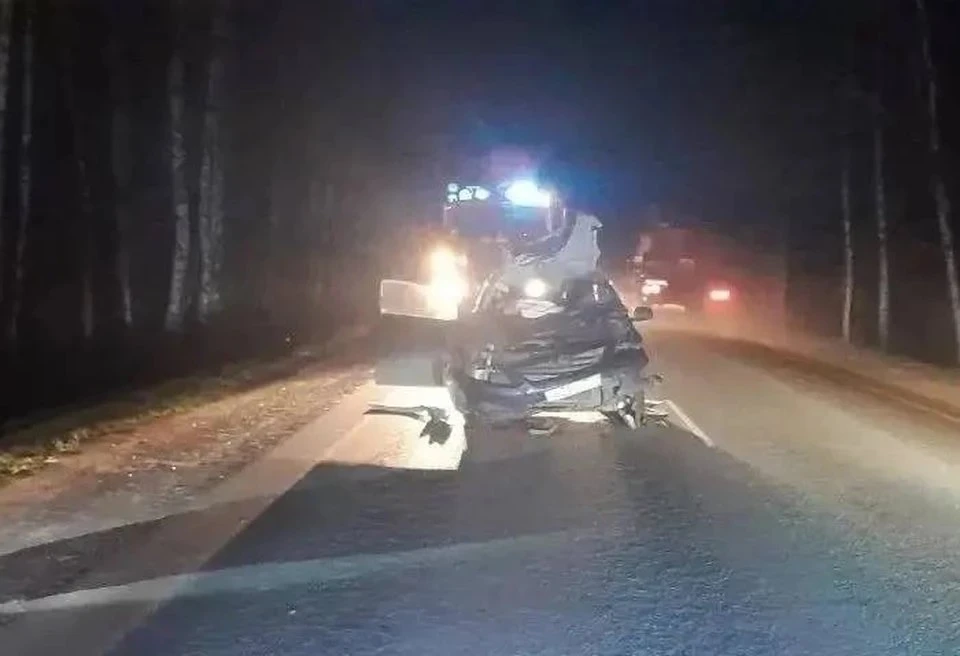 🦌 В Башкортостане пассажирка Toyota Corolla погибла в ДТП с лосем