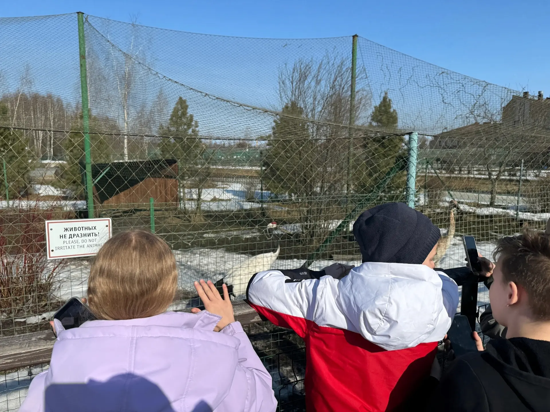 🦁Живая природа рядом: 5 Г в Ярославском зоопарке  Продолжая путешествие, 5 Г класс отправился в Ярос