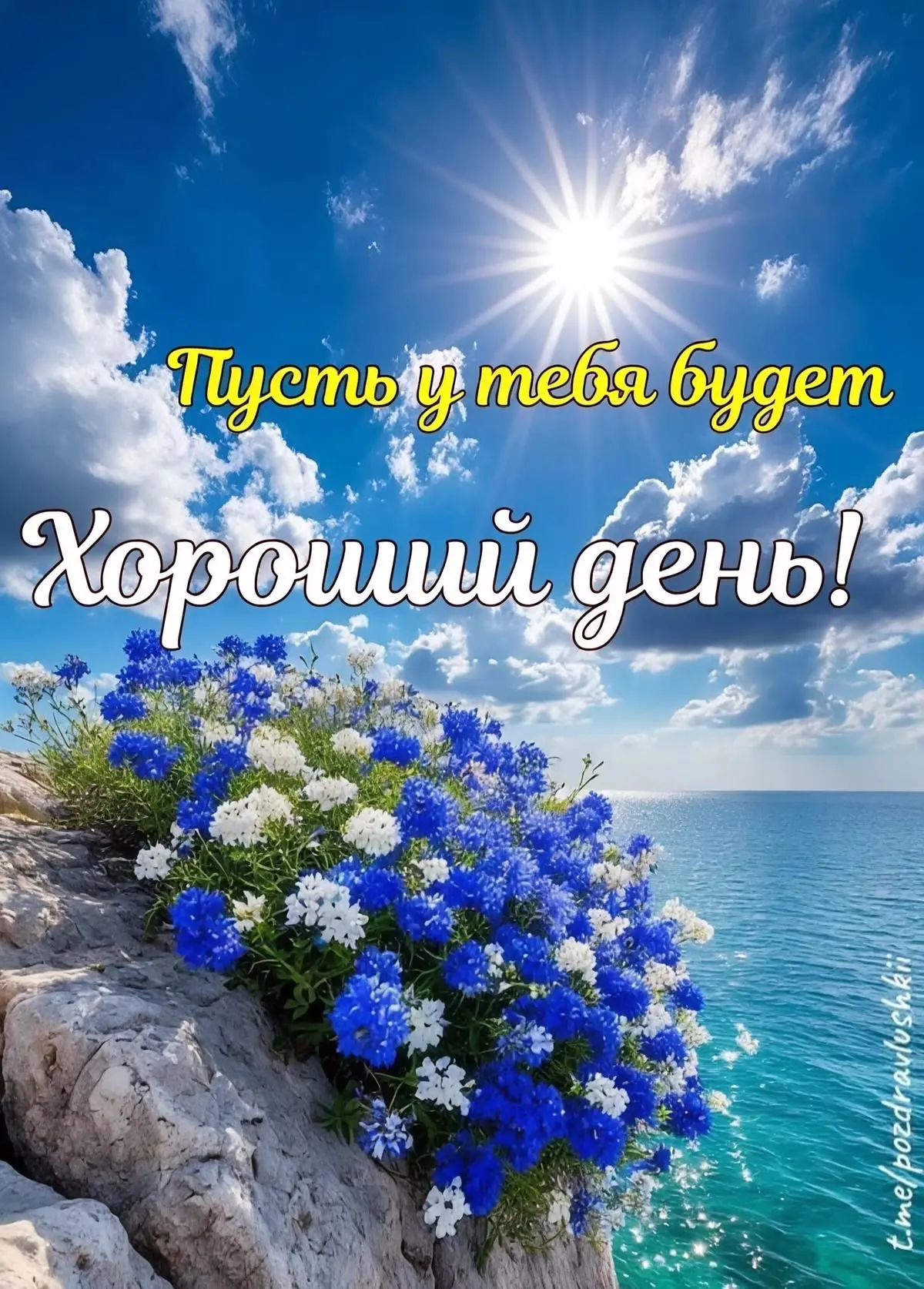 #хорошегодня