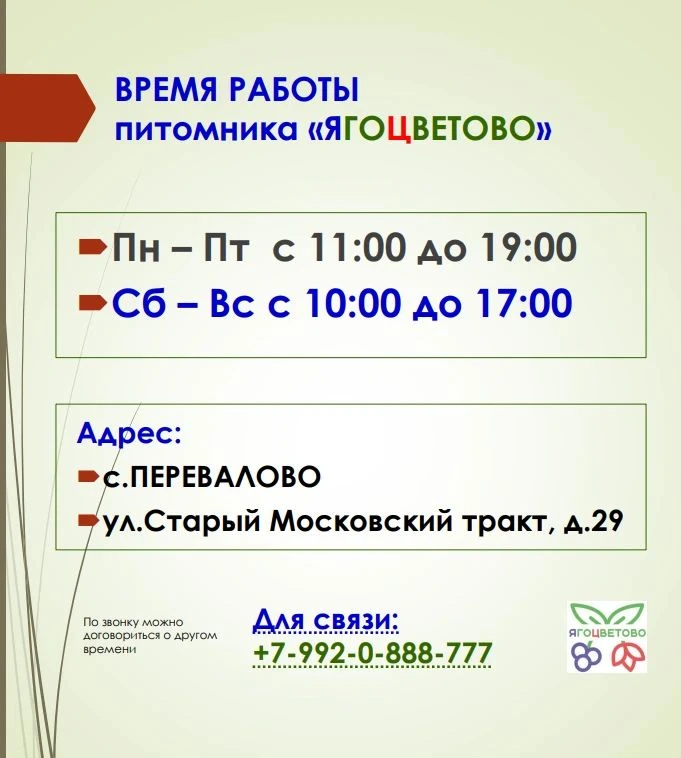 Наше рабочее время и дни