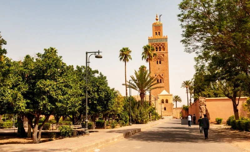 из Петербурга в Касабланку 🇲🇦 за 27 600 р. RT (зимой и весной)