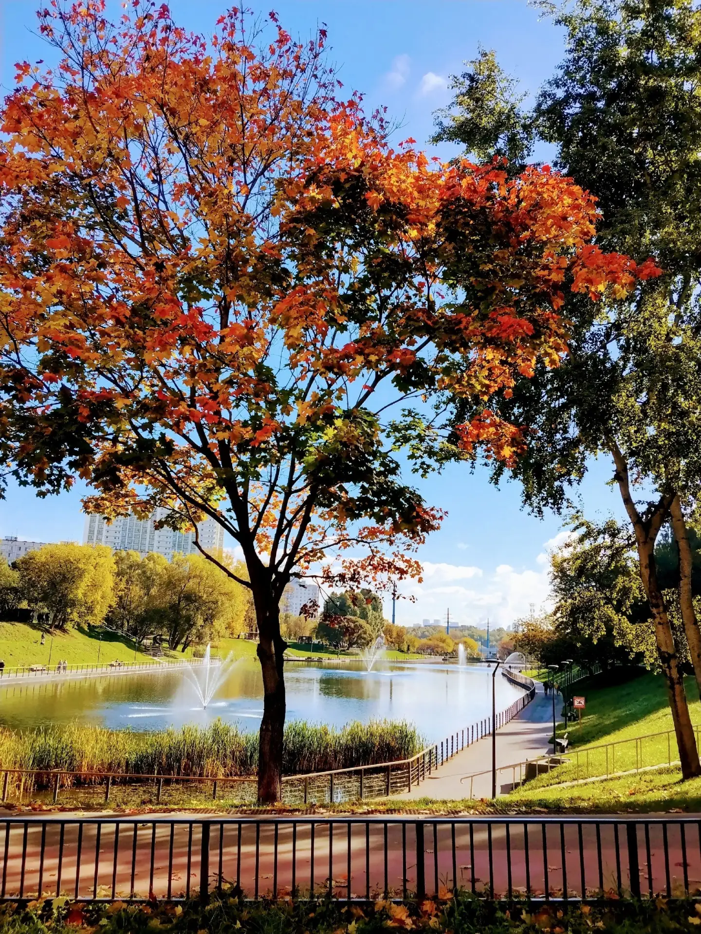 🍁 Осень в районе особенно красивая