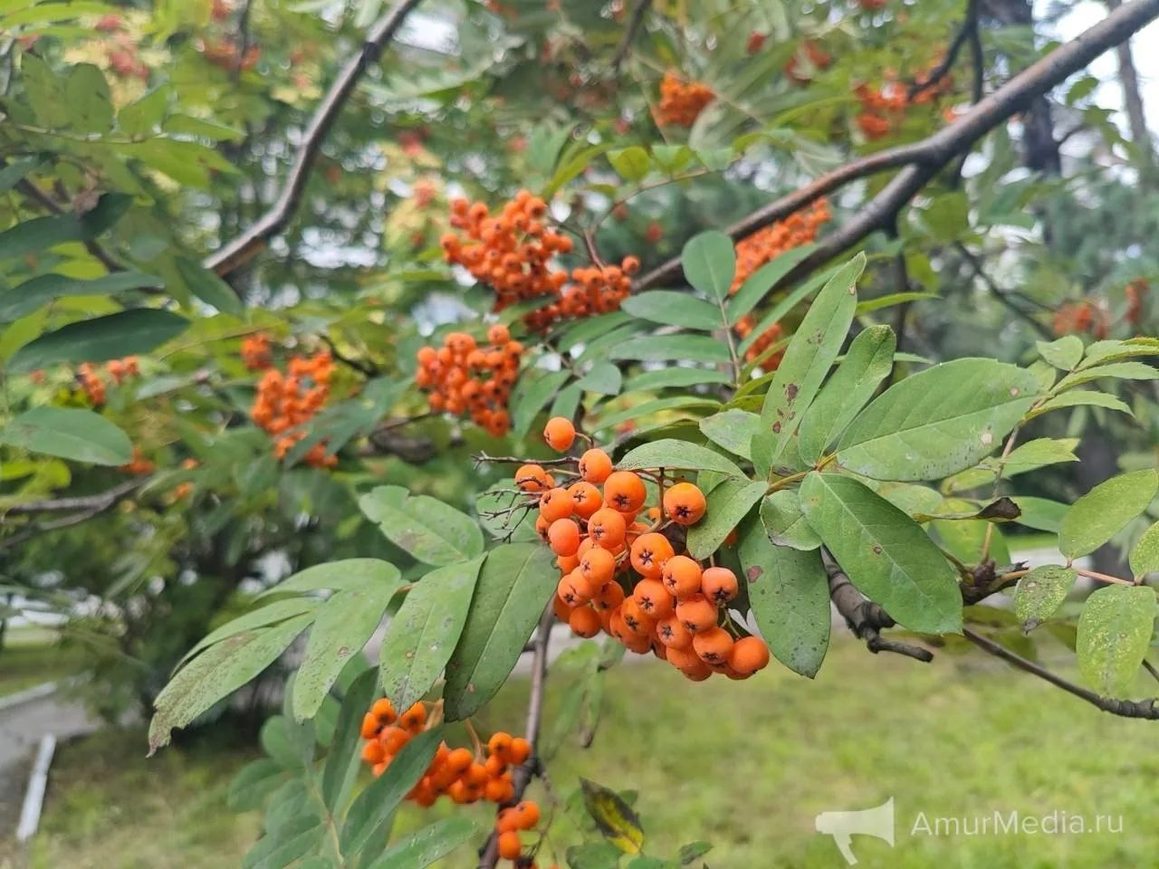 Я календарь переверну...🗓