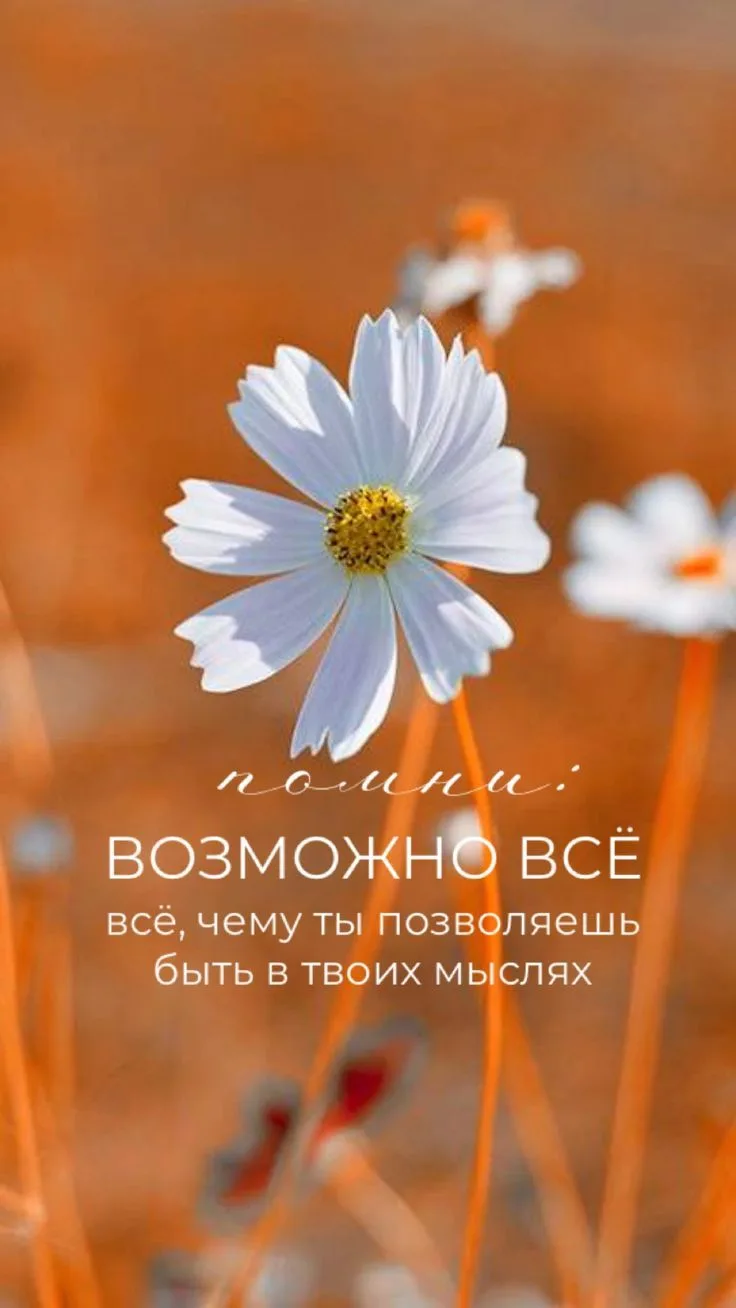 Сложные времена даются Миру затем, чтобы мы снова осознали ценность самых простых и обы...