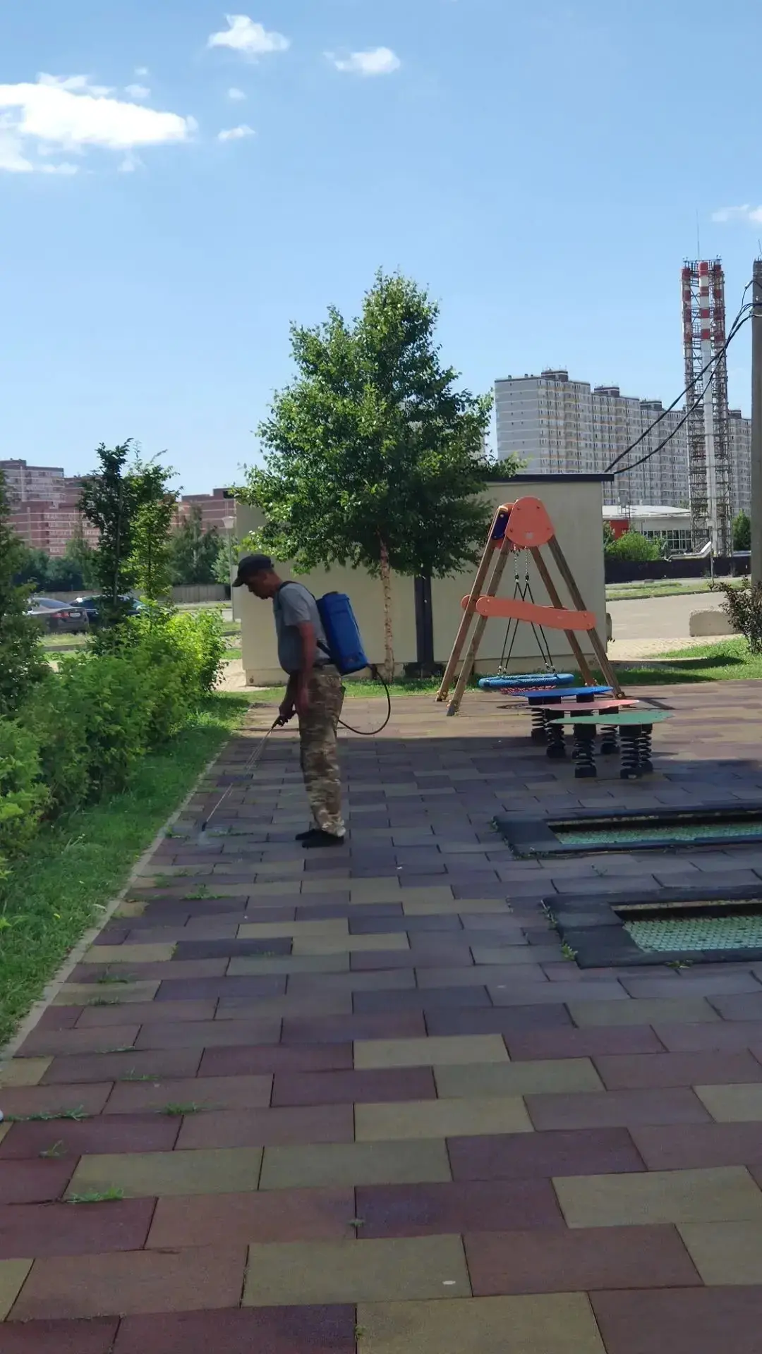 Проведена обработка травы    гербицидом сплошного действия, результат после обработки наступает в те