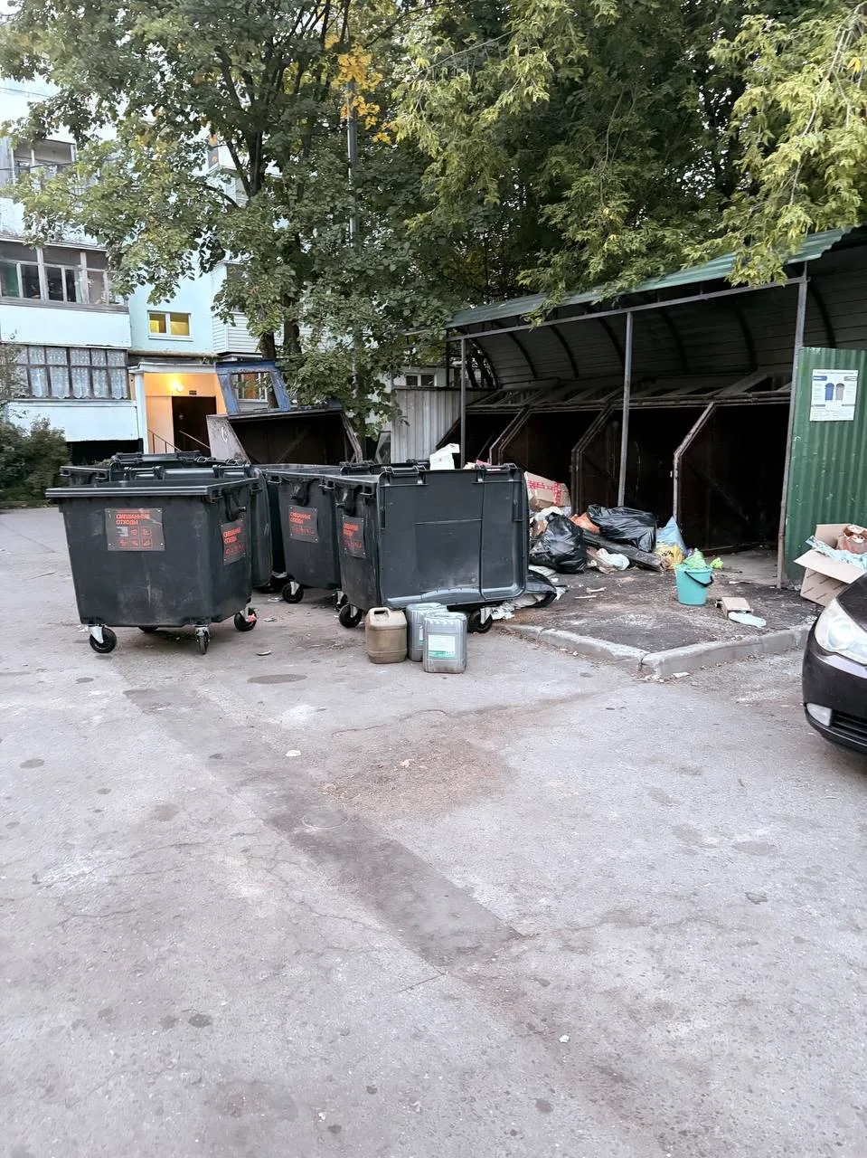 Сосед Роман Евгеньевич говорит, что в Яковлевском контейнеры снова стоят как попало. Мо...