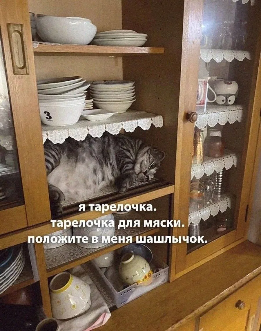 Маскировка!