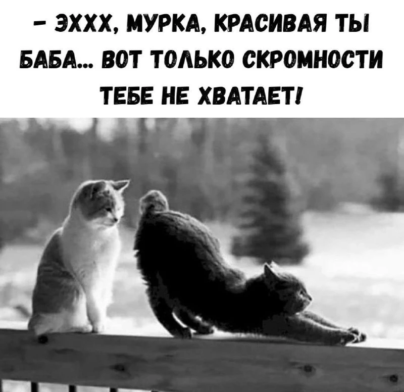 🤣🤣🤣