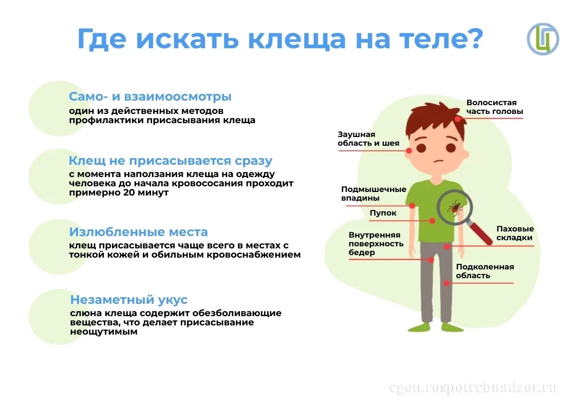 Управление Роспотребнадзора по Волгоградской области продолжает еженедельный оперативны...