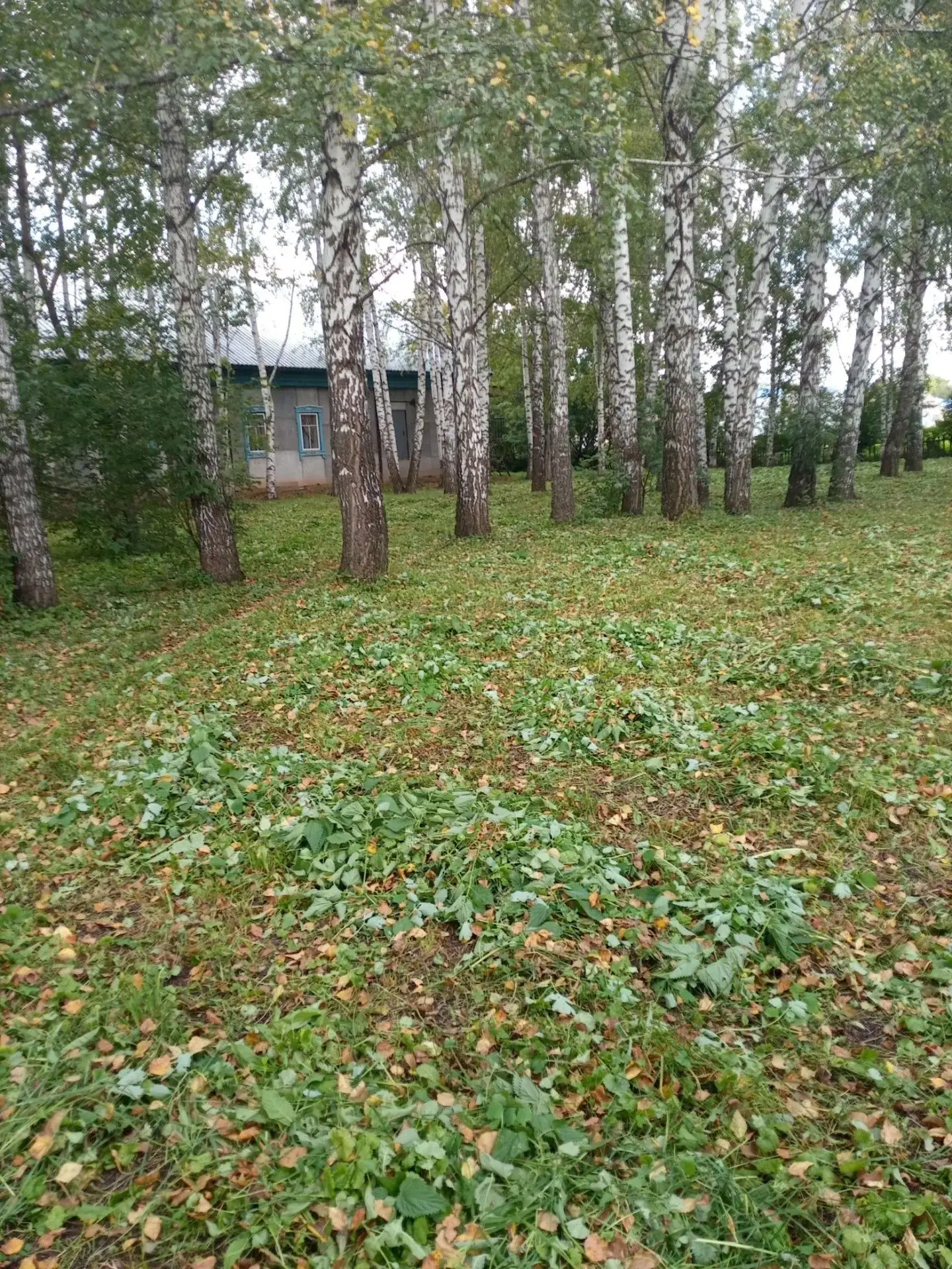 🎉 Субботник — это не просто уборка, это наша общая забота о родном селе! 🎉Каждый из н...