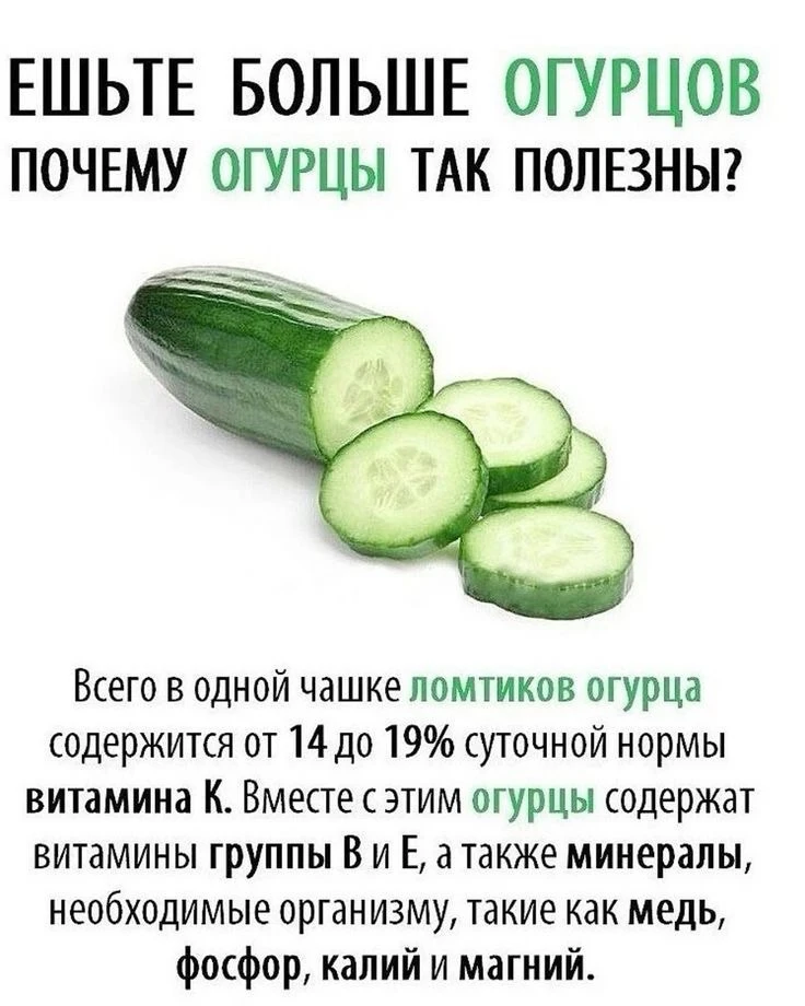 Огурец — не просто «вода», а доступный суперфуд! 🥒✨

Вот 4 причины хрустеть им каждый день:

1. Про