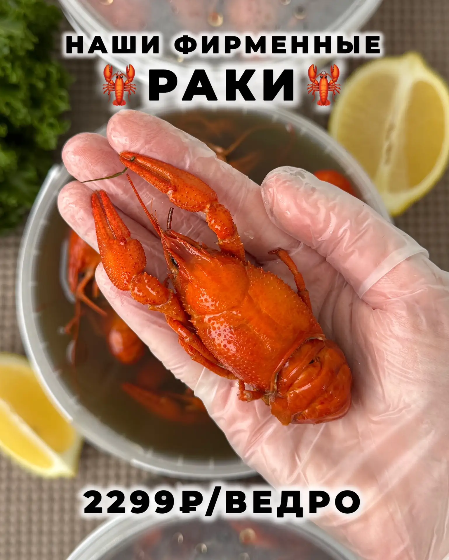 🦞🦞🦞🦞🦞🦞🦞🦞

Самые вкусные раки в нашем фирменном рассоле уже летят во все магазины сети 🚀 Кое