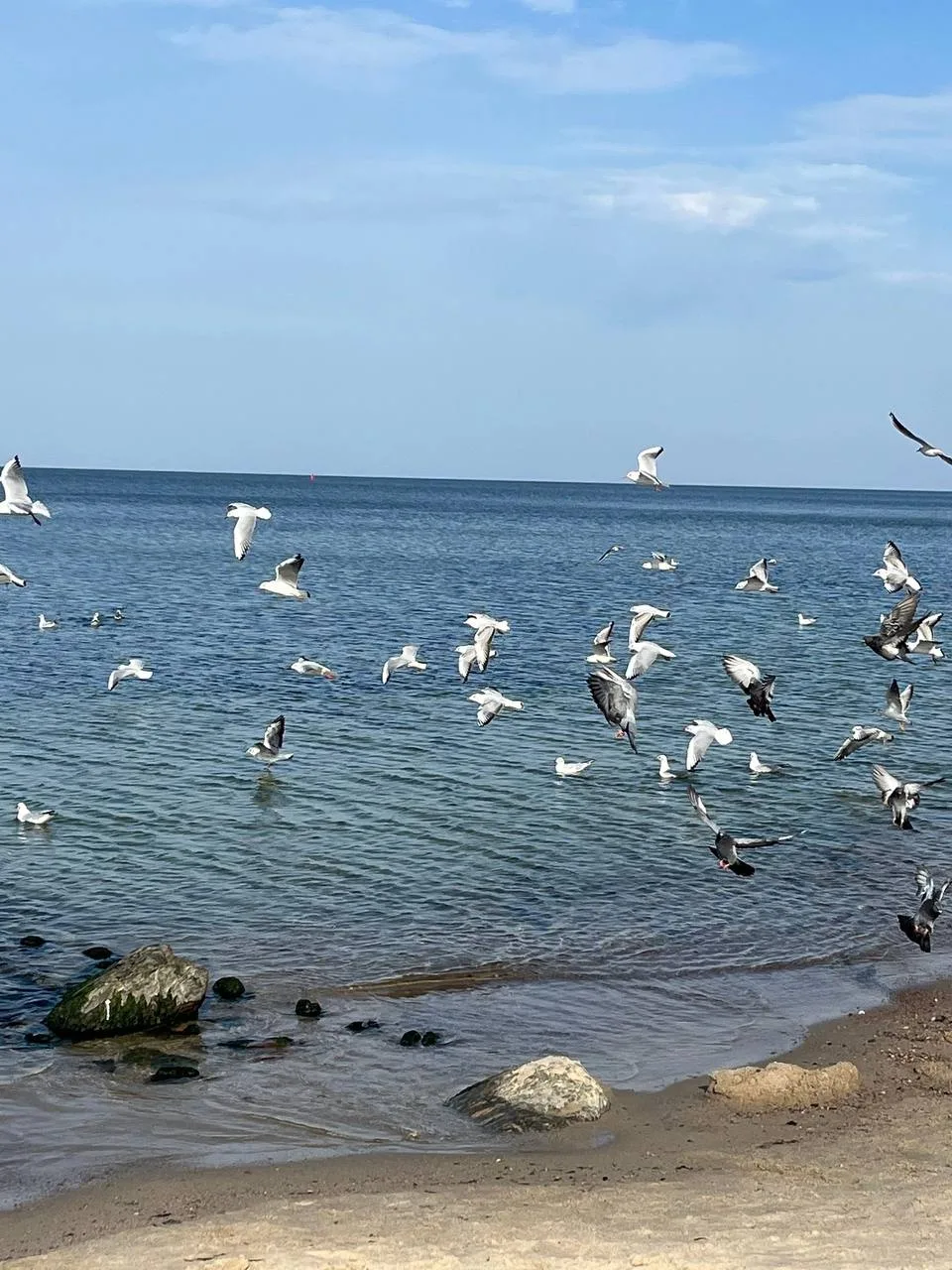 В Калининграде 3 октября — до +19°C
