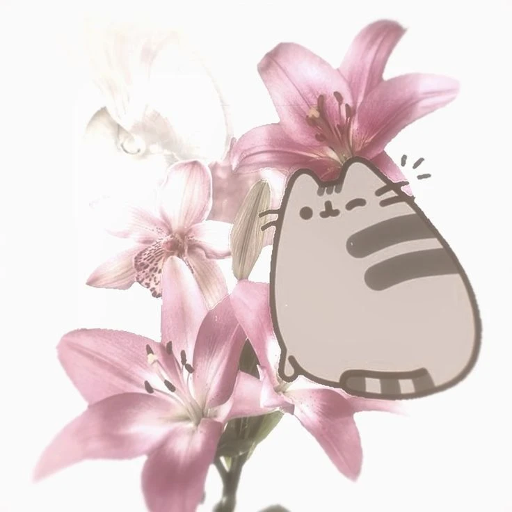 ♡Пуɯин ≽^• ˕ • ྀི≼