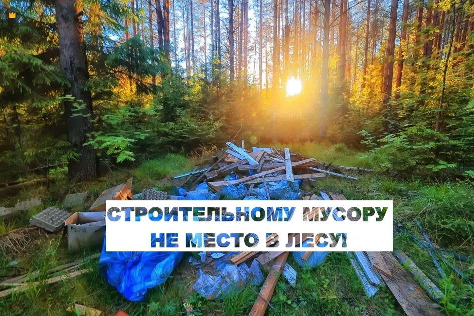 С июня в Междуреченске работает специализированная площадка, куда можно на определённых...