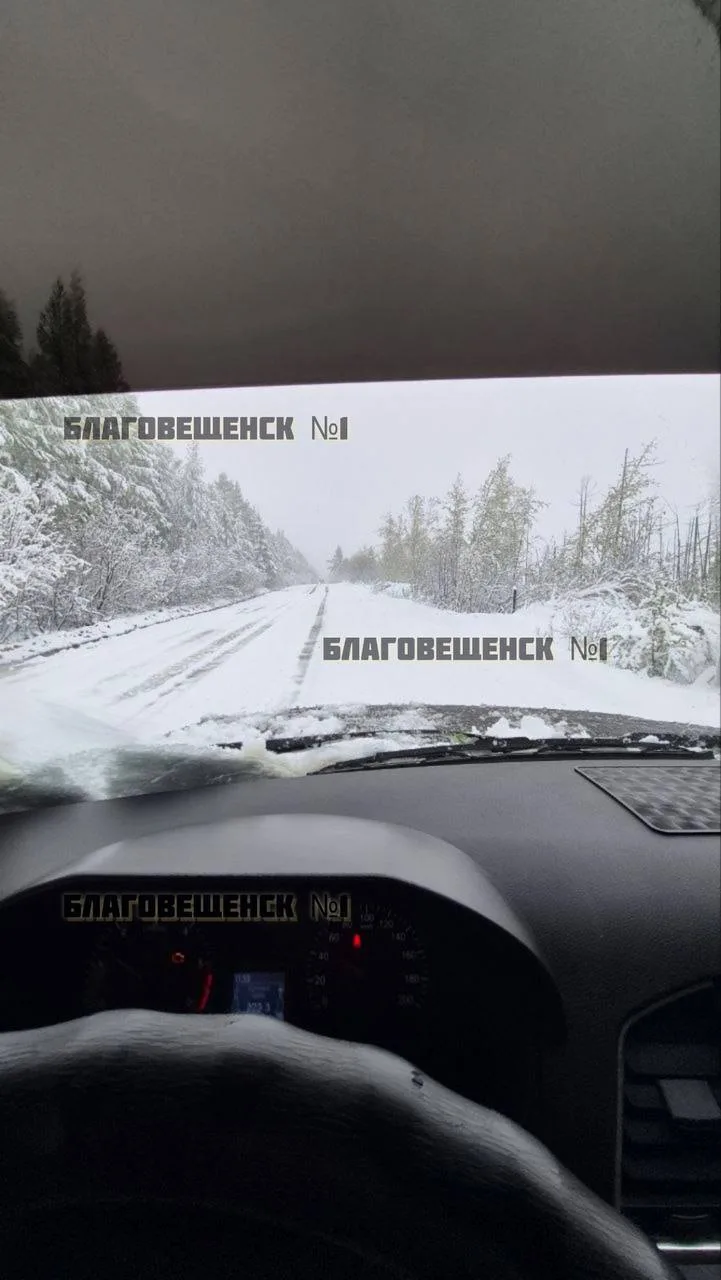 🥶Тындинский округ завалило снегом (фото)  А дороги — деревьями. На снимках — Ларба-Лопча 25.05.26.  