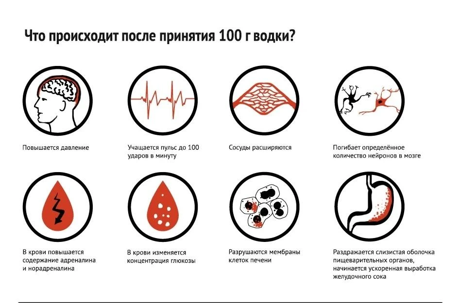 ⚡ Как водка влияет на организм человека❓