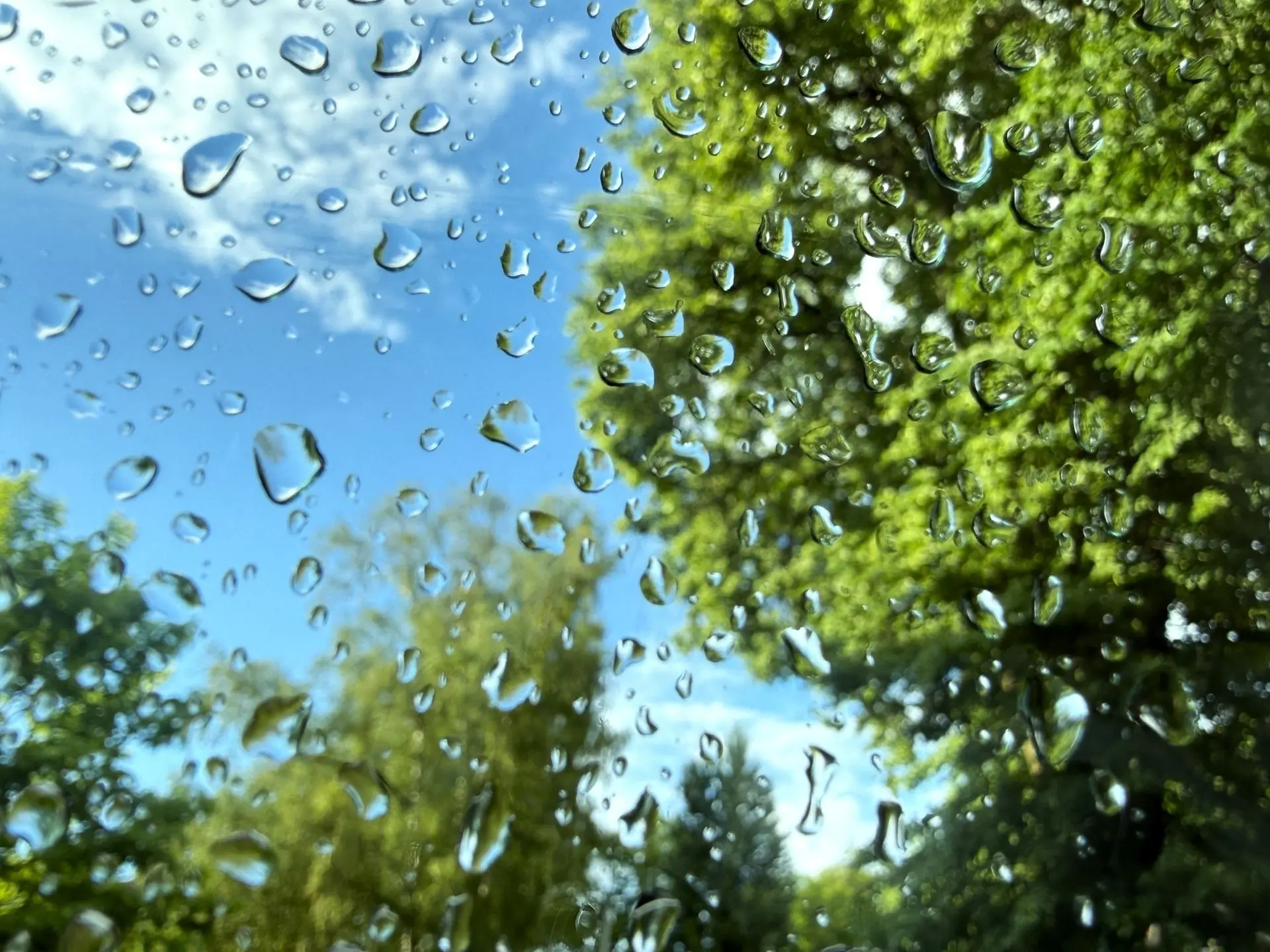 ☔️ Сегодня и завтра до 10 часов в Московской области местами ожидается дождь, гроза, град и порывы в