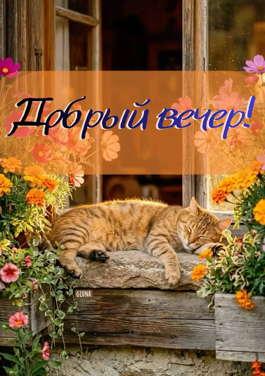 #ДобрыйВечер

Поздравления

Поздравления💌Подписаться

👉Выплаты и Льготы