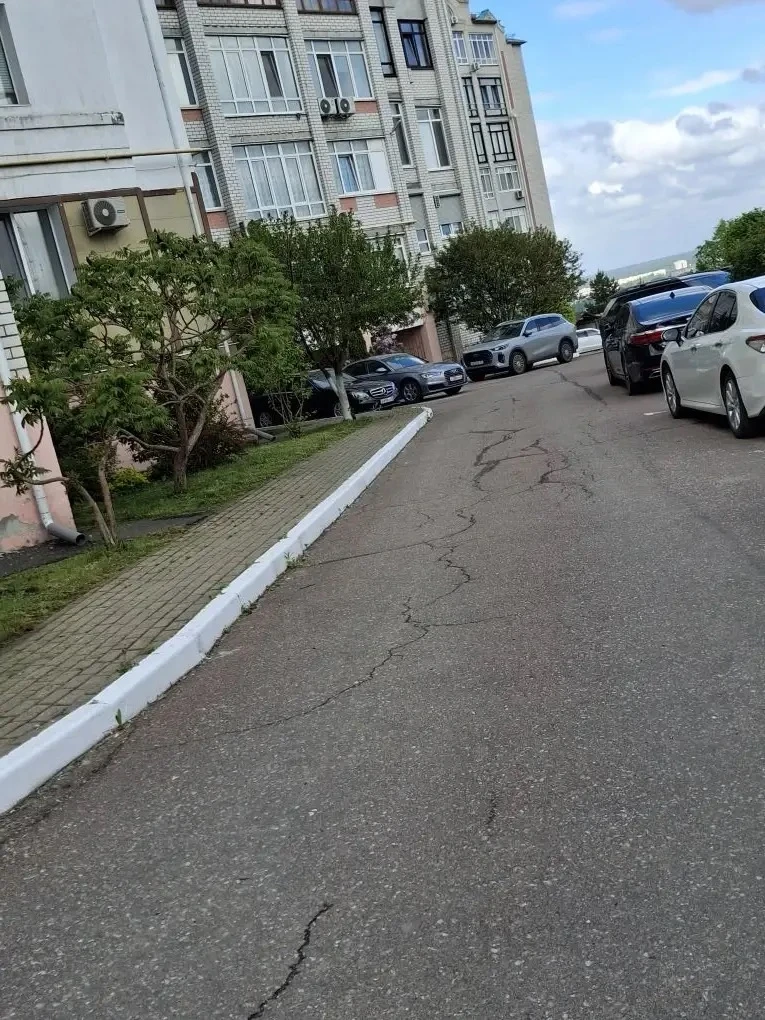 Покрасили бордюры, начали косить траву и кронировать кусты