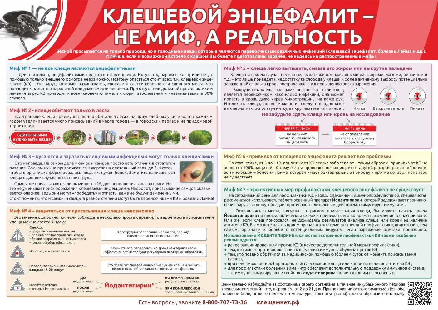 ☀️Очень тёплая погода создаёт благоприятные условия для активации клещей. 🕷️